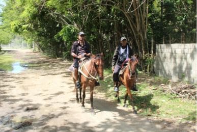 Călărie pe plajă cu peisajul rural — Guided tour and outdoor activity