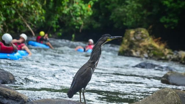 La Fortuna: White Water Tubing Tour with Guide and Transfers — Guided tour and outdoor activity