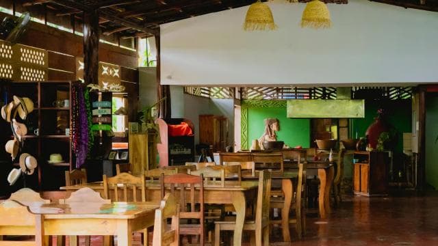 Guanacaste: Palo Verde Boat Tours — Guided tour and outdoor activity