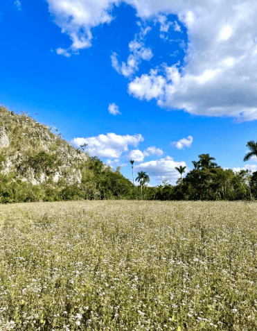 Viñales Sunset Hike — Guided tour and outdoor activity