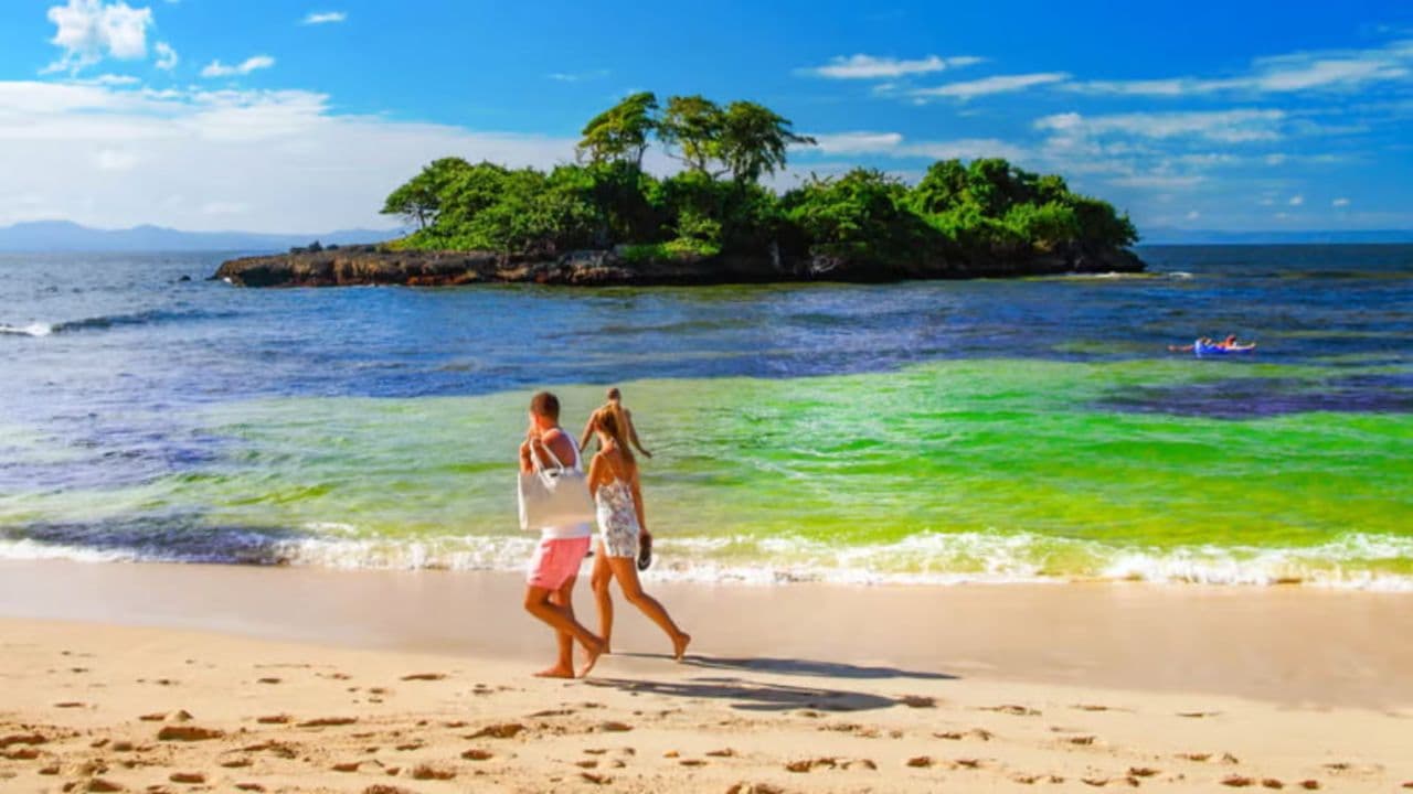 Samana: Full day Samana Amazing tour Punta Cana — Guided tour and outdoor activity