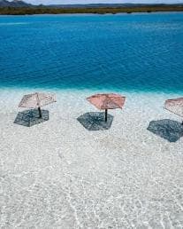 From Santo Domingo: Island Cabra & Grand Gossier Sandbank — Guided tour and outdoor activity
