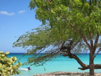 Bahía de las Aguilas: gita di un giorno in spiaggia in barca — Guided tour and outdoor activity