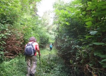 Damajagua: 27 Waterfalls Tour with Entrance Fee & Lunch — Guided tour and outdoor activity