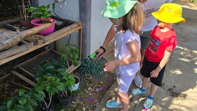 Bitzu Coffee Tour : Une expérience authentique du Costa Rica. — Guided tour and outdoor activity