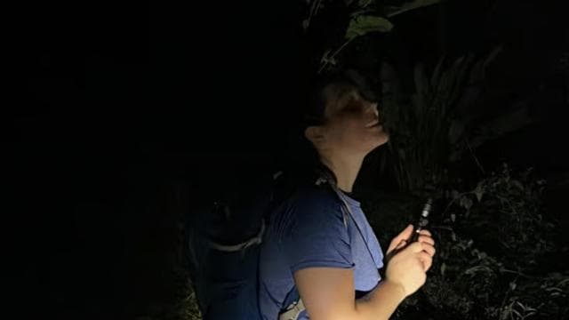 Manuel Antonio National Park Night Tour — Guided tour and outdoor activity