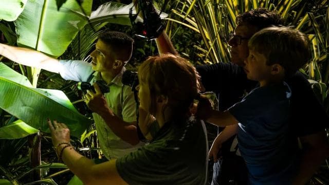 Uvita: Private Nature & Wildlife Night Tour Tropical Forest — Guided tour and outdoor activity