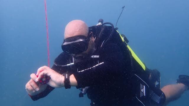 Golfito, Costa Rica: certificazione PADI Open Water Diver — Guided tour and outdoor activity