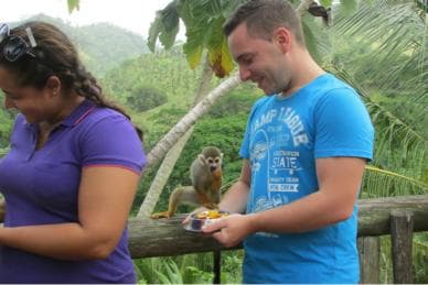 Punta Cana: Ziplines Adventures & Monkeyland Entry — Guided tour and outdoor activity