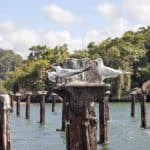Haitises + Cayo Levantado ( Bacardi Island ) — Guided tour and outdoor activity
