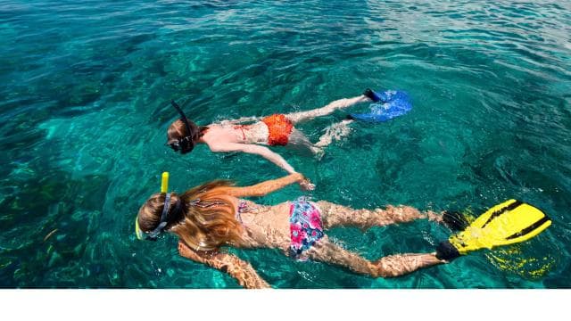 LICENSED Two-Hour Snorkeling Adventure Cahuita National Park — Guided tour and outdoor activity