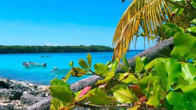 La Romana: Catalina Island Day Trip with Lunch & Drinks — Guided tour and outdoor activity