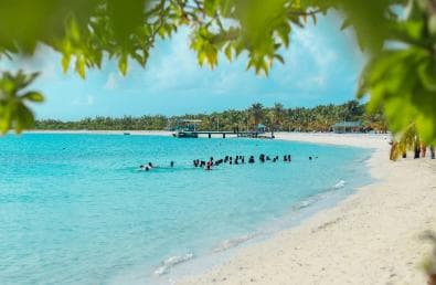 Private: Full-Day Catalina Reef & Beach Escape by Catamaran — Guided tour and outdoor activity