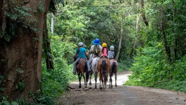 Rincón de la Vieja: Exclusive Eco Adventure 12-in-1 Day Pass — Guided tour and outdoor activity