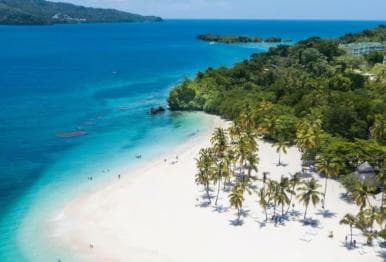 Private: Punta Cana Whale Watching Bacardí Island Adventure — Guided tour and outdoor activity