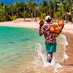 Discover Saona Island: Enjoy The Paradise — Guided tour and outdoor activity
