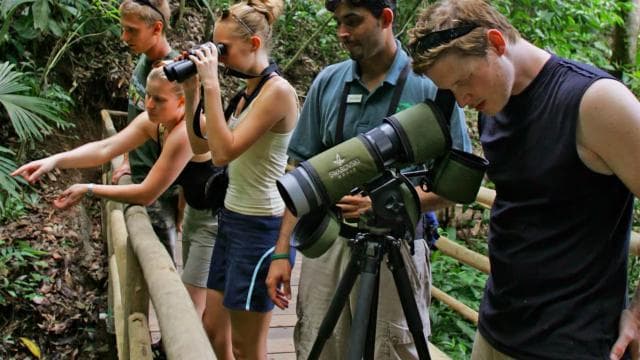 Bird Watching Tour at Rainforest Adventures Braulio Carrillo — Guided tour and outdoor activity