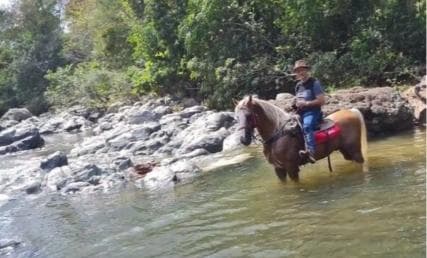 Santo Domingo: Horseback Riding - Round Trip Transportation — Guided tour and outdoor activity