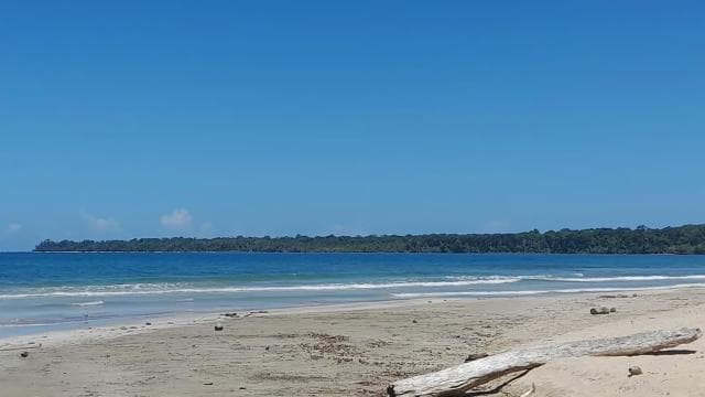 Cahuita national park : guiding tour with Pablo — Guided tour and outdoor activity