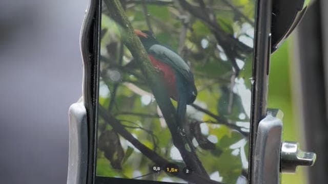 Manuel Antonio National Park: All-Inclusive Guided Tour — Guided tour and outdoor activity