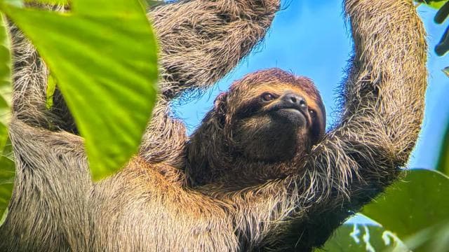 Manuel Antonio National Park: Private Nature Experience — Guided tour and outdoor activity