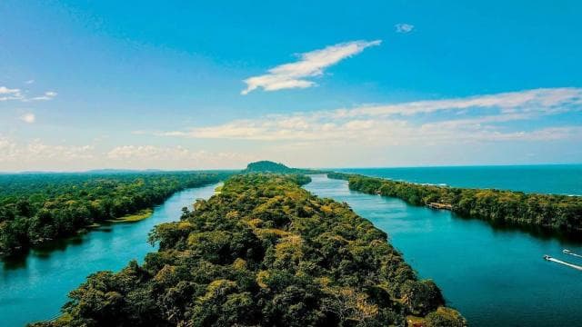 San Jose: Tortuguero Park Day Tour with Breakfast & Lunch — Guided tour and outdoor activity