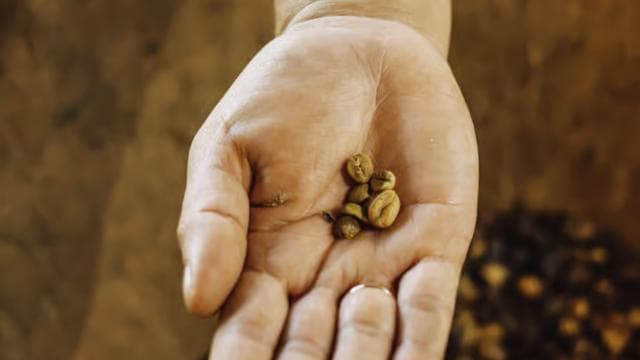 La Fortuna: Local Coffee Tour Experience — Guided tour and outdoor activity