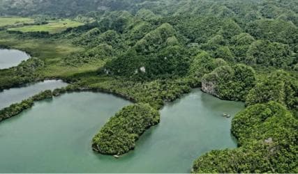 Las Terrenas: Los Haitises Boat and Walking Tour with Lunch — Guided tour and outdoor activity