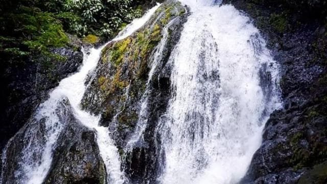 Jaco: Rainforest Horseback Ride to El Encanto Waterfall — Guided tour and outdoor activity