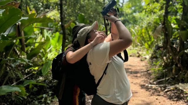 Tortuguero National Park: Jaguar Trail Day Walk Adventure — Guided tour and outdoor activity