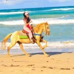 Macao Beach & Forest Horseback Adventure — Guided tour and outdoor activity