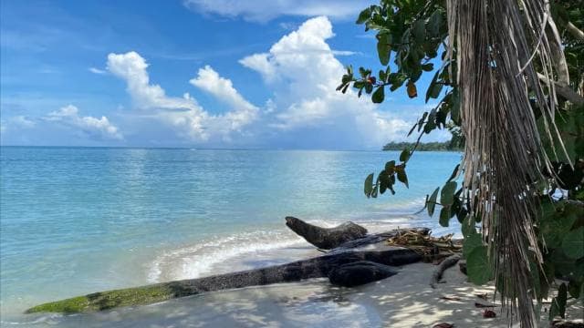 Cahuita: Excursie cu ghid prin Parcul National Cahuita — Guided tour and outdoor activity