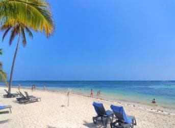 Private: Catalina Island Snorkel Dive Day Trip from Bayahibe — Guided tour and outdoor activity