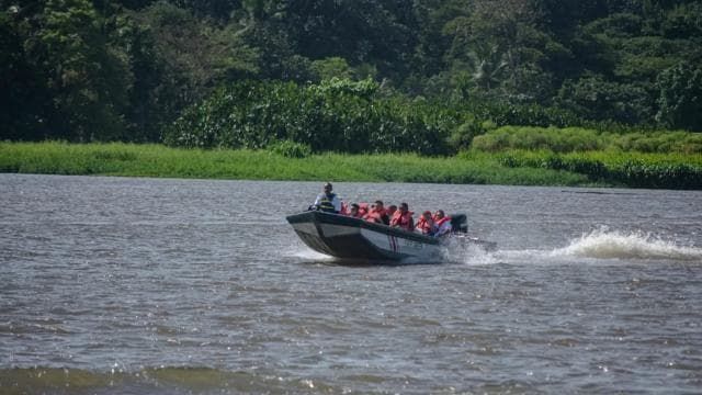 Motorboat Tour in Tortuguero National Park **BEST SELLER** — Guided tour and outdoor activity
