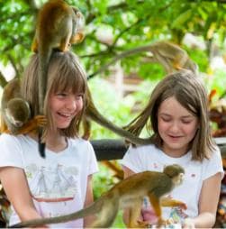 Puerto Plata: Monkeyland Tour — Guided tour and outdoor activity