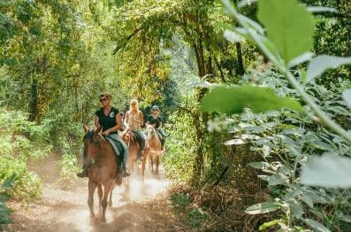 Private: Punta Cana: Horseback Riding Tour with Sunset — Guided tour and outdoor activity