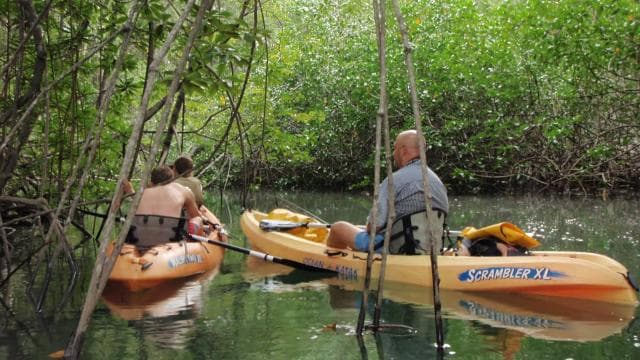 Uvita: Kayak & Snorkel Private Tour - Marino Ballena N. Park — Guided tour and outdoor activity