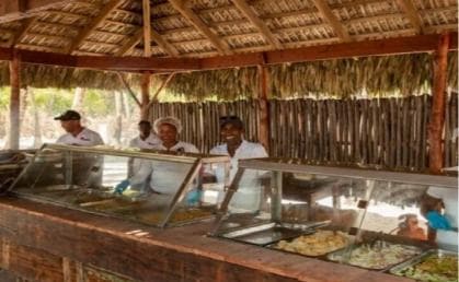 Bayahibe: Prehliadka katamaránu na ostrove Saona s obedom a nápojmi — Guided tour and outdoor activity