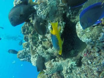 Sosua Catamaran Excursion — Guided tour and outdoor activity