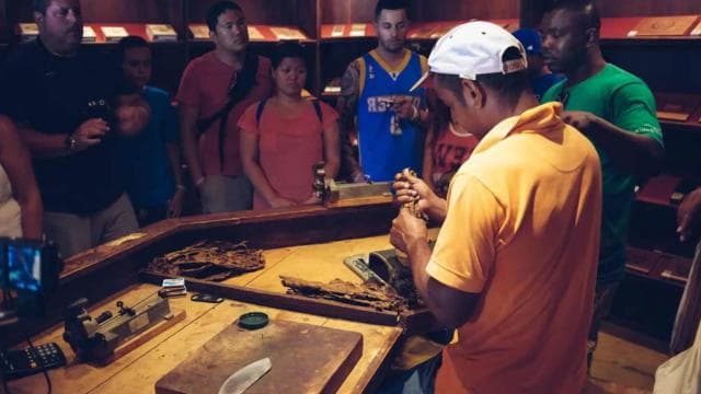 Punta Cana: Samana Full Day Trip Whale Cascada El Limon — Guided tour and outdoor activity