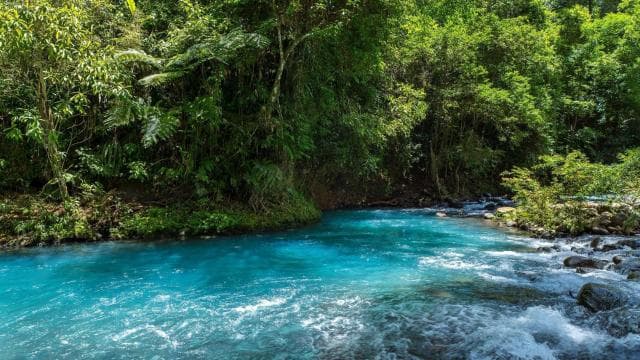 La Fortuna Town: Rio Celeste and Tenorio National Park Tour — Guided tour and outdoor activity