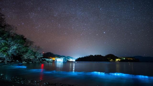 Bioluminiscenčná prehliadka; Motorový čln, kemping (zo San José) — Guided tour and outdoor activity