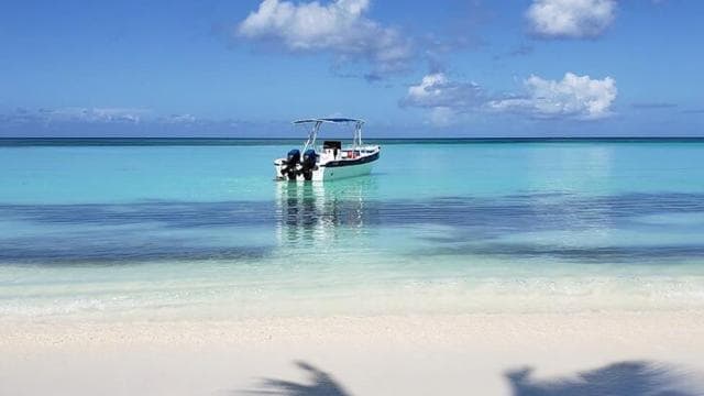 Punta Cana: Saona Island Full-Day Group Tour — Guided tour and outdoor activity