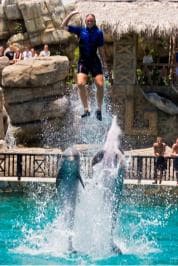 Puerto Plata: Ocean World Adventure Park Day Pass — Guided tour and outdoor activity