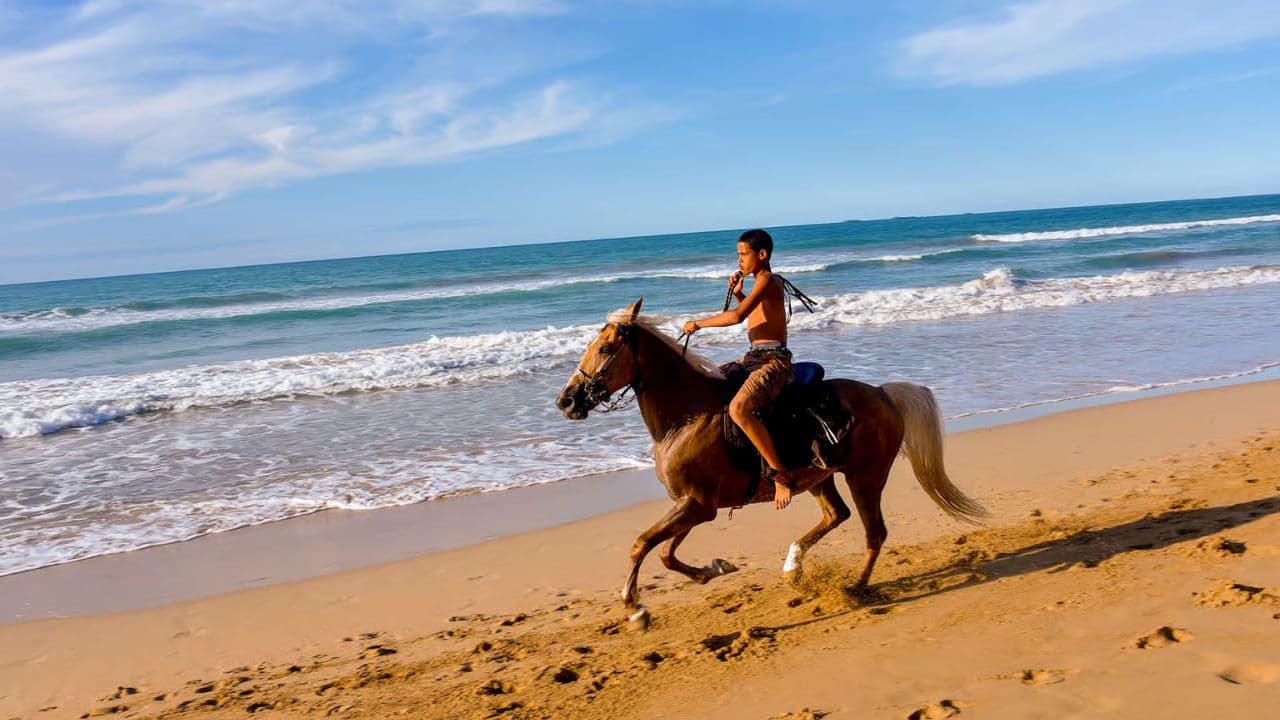 Puerto Plata: 2-Hour Horseback Ride on the Beach — Guided tour and outdoor activity