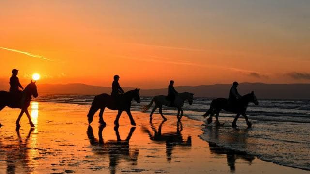 Playa Conchal: Horseback Riding -Sunset Private Tour For All — Guided tour and outdoor activity