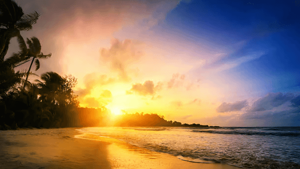 Punta Cana: Sunset Horseback Ride in Macao Beach and Forest — Guided tour and outdoor activity
