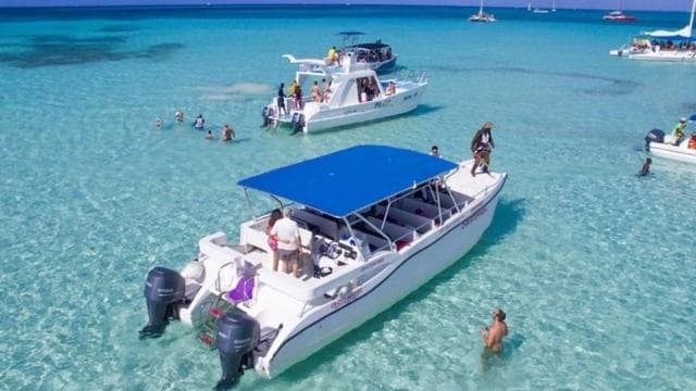 Punta Cana: Saona Islan Full Day With Catamaran and buffet — Guided tour and outdoor activity