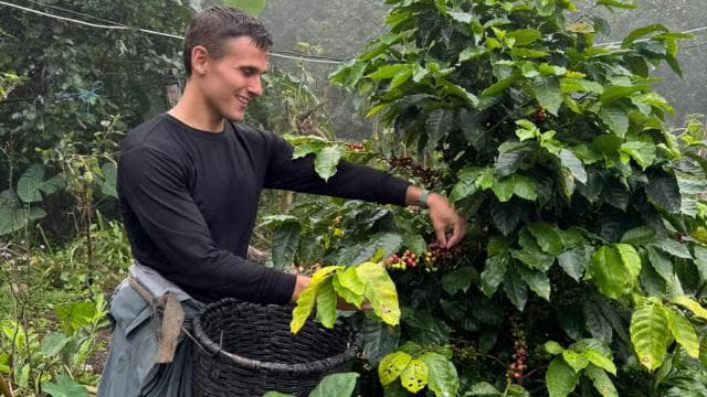 Zagala Nueva: Costa Rican Coffee Experience in the Mountains — Guided tour and outdoor activity
