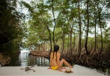 Los Haitises: Boat Tour Sabana de la Mar, Caves & Mangroves — Guided tour and outdoor activity